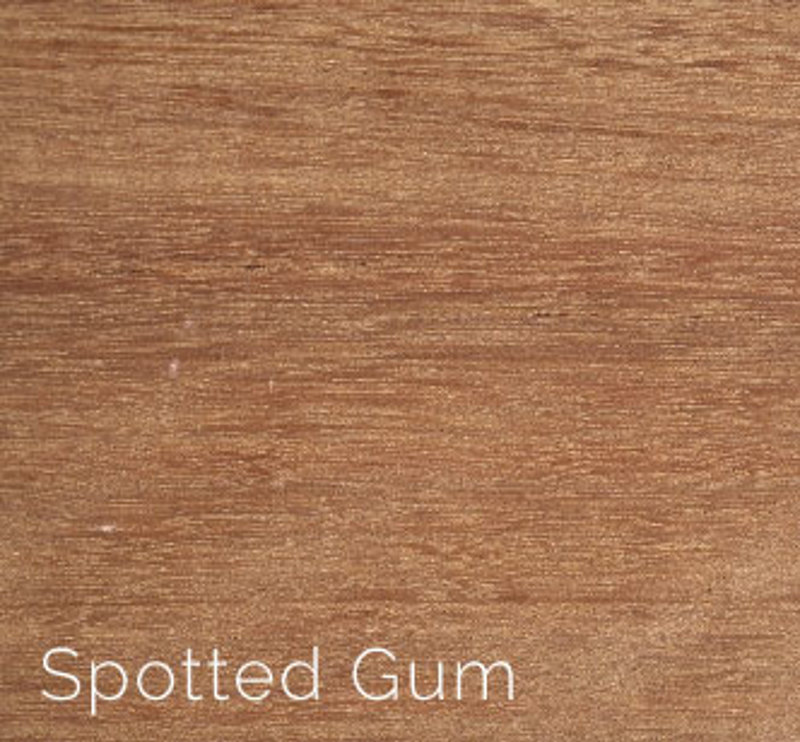 Spotted Gum